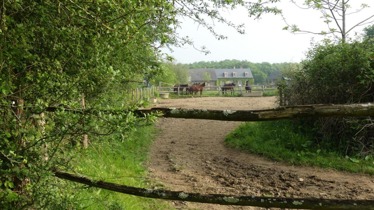 La Petite Lande Bed & Breakfast Menil ภายนอก รูปภาพ
